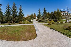 There exists a serene and beautiful path in a park that is bordered by lush trees on both sides, creating a peaceful and inviting atmosphere for visitors to enjoy their walk photo