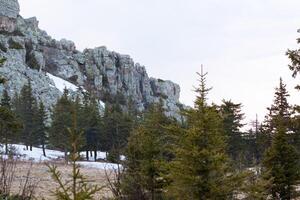A Mountain Covered In Snow And Trees With A Rocky Cliff In The Background photo