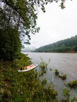 A colorful paddle board is currently resting peacefully on the sandy shore of a beautiful river, surrounded by the serene sights and soothing sounds of nature all around it photo