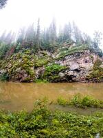 A stunningly beautiful river meanders gracefully through a vibrant, lush green forest, which is located right next to a towering, rocky cliff that greatly enhances the picturesque scenery photo