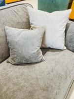 In a spacious living room, there is a stylish couch adorned with two comfortable pillows placed neatly on it, creating an inviting space for relaxation and leisure activities photo