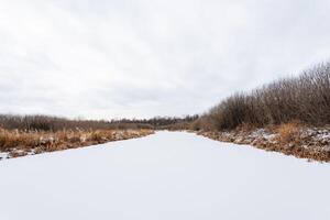 On a cloudy day, a picturesque scene unfolds with a frozen river, its banks lined by tall trees and patches of grass, creating a serene winter landscape filled with tranquility photo
