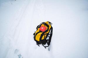 A vibrant yellow backpack containing a bright red ball is resting peacefully in the glistening white snow, creating a striking contrast against the frosty winter landscape photo