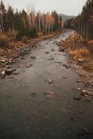 Water flowing through trees and rocks in a forest landscape photo