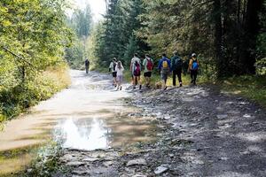 A group of people are slowly walking down a muddy path that meanders through the woods, surrounded by the beauty of nature and the vibrant colors of the forest environment photo
