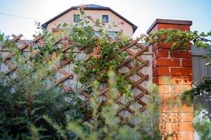A beautifully crafted wooden trellis is mounted against a sturdy brick wall, allowing vibrant flowers to grow and flourish across its structure, creating a stunning visual display photo