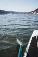 The paddle was dipped in the water, paddling on a stand-up paddleboard, spring rafting on the river. photo