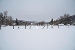 In a serene snowy field adorned with a rustic fence, there are trees standing gracefully in the background, creating a picturesque winter wonderland scene filled with peace and tranquility photo