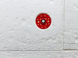 A Red Fire Sprinkler Head is securely mounted on a clean, white wall, serving as an essential safety feature in the buildings fire protection system photo