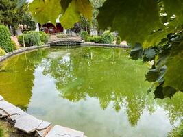 A scenic pond located within a tranquil park, beautifully encircled by lush trees and greenery, creating a serene natural landscape for relaxation and leisure activities photo