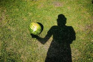 A shadow of an individual can be seen holding a watermelon firmly in their hand while standing on the ground, creating an interesting visual against the backdrop of nature photo
