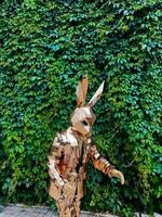 A lifesized cardboard rabbit statue stands in front of a green hedge photo