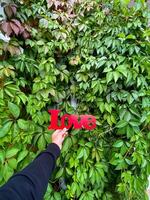 A person is proudly holding up a vibrant red love sign in front of a lush, green tree, creating a beautiful and serene connection between the joyful gesture and nature around them photo