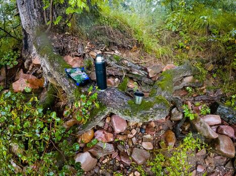 In a peaceful and serene landscape, a strong and sturdy tree trunk holds a gently resting cell phone while a thoughtfully placed compass sits on its surface, inviting exploration photo
