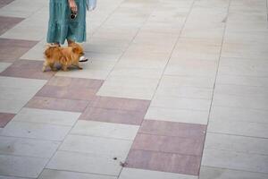 A woman is strolling along a pathway while holding a small dog on a leash, enjoying the outdoors together during this lovely day, creating a heartwarming scene of companionship photo
