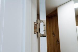 This is a detailed closeup view of a door hinge that has been installed on a pristine white door, emphasizing its intricate design and functionality within a typical residential setting photo