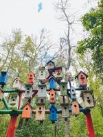 Vibrant and colorful birdhouses nestled within a lush woodland environment, creating an artistic and playful habitat for birds to thrive photo