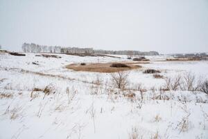 A picturesque snowy field extends before us, with tall trees standing majestically in the background against a backdrop of cloudy skies on this winter day filled with natural beauty photo