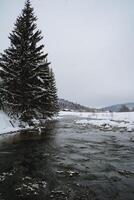 A picturesque river calmly flows through a serene, snowy forest, featuring a beautifully decorated Christmas tree prominently situated in the foreground, surrounded by glistening snow photo