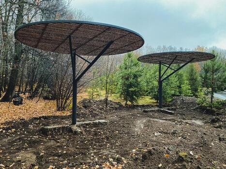 Two colorful umbrellas are haphazardly resting in the dirt amidst a lush forest setting, surrounded by greenery and towering trees all around them, creating an interesting visual contrast photo
