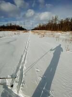 A shadow of an individual is prominently cast on a snowy road, highlighting the winter conditions and the beauty of the glacial landscape surrounding it, creating a picturesque scene photo