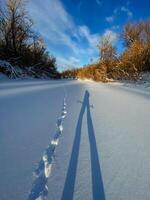 A persons shadow is beautifully cast upon a snowy road, altering the winter landscape and creating a striking visual effect that showcases the interaction of sunlight and snow photo