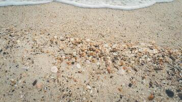 Seashells and Pebbles on Sandy Beach with Gentle Ocean Wave at Shoreline During Daytime photo