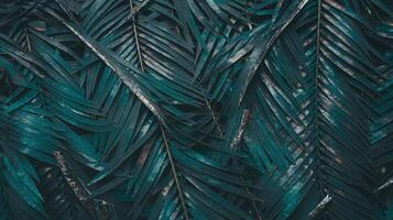 Dark Green Tropical Palm Leaves Pattern Closeup Representing Nature and Exotic Jungle Aesthetic photo