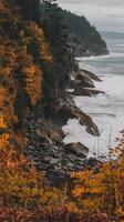 Rocky Ocean Cliffside With Autumn Forest Trees Overlooking White Waves Against Cloudy Sky photo