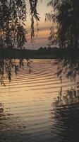 Serene Sunset Reflections on Rippling Lake Framed by Tree Branches with Vibrant Sky Colors photo