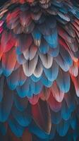 Close Up of Vibrant Multicolored Bird Feathers with Blue Red and Orange Gradient Tones in Soft Light photo