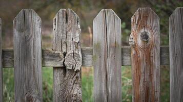 Closeup of Weathered Wooden Fence with Rustic Texture in Natural Outdoor Setting with Greenery in Background photo