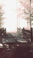 mystical old wooden bridge in the fog video