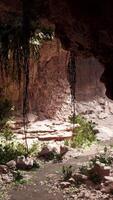 view from inside a dark cave with green plants and light on the exit video