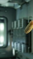 marinated pickled cucumber floating in internation space station video