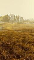 Grassy Field With Mountain Background video