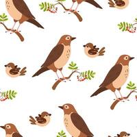 Colorful bird patterns featuring songbirds and foliage in a whimsical design vector