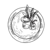 Olives Branch in Olive Oil Bowl. Top view. Hand drawn illustration in outline style. Sketch for menu, product package, kitchen and food design vector