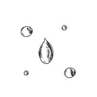Oil Drops Graphic Sketch. Hand drawn illustration on a white background. Line art for product, cosmetic and cuisine design. vector