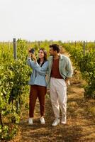 Couple enjoying a sunny day in a vineyard, admiring freshly picked grapes photo