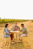 Enjoying a sunny afternoon at a vineyard, friends savor delicious food and wine while sharing laughter photo