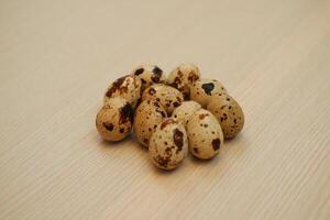 Quail eggs neatly arranged photo