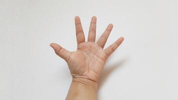 Human hand try grab something. Isolated on white background photo