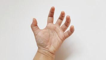 Human hand gesture concept. Language of communication poses isolated on white background photo