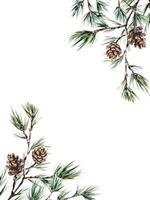Watercolor pine branches with cones and soft green textured background. Natural, elegant frame for holiday cards, invitations, posters, or seasonal designs, perfect for rustic or eco-themed projects. vector