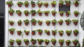Vertical Garden with Red Plastic Pots Hanging on a Metal Grid Wall Featuring Lush Green Plants in an Urban Outdoor Setting photo