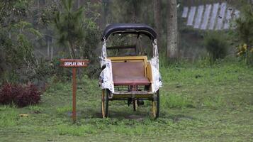 Rustic yellow pedicab with a display only sign surrounded by lush green grass and vibrant plants in a serene outdoor setting. photo