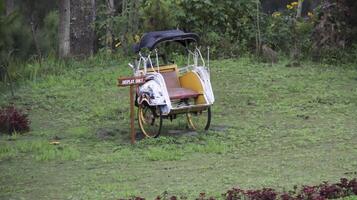 Rustic yellow pedicab with a display only sign surrounded by lush green grass and vibrant plant. photo