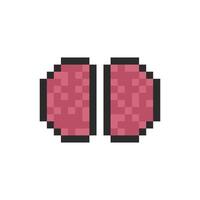 human brain pixel vector