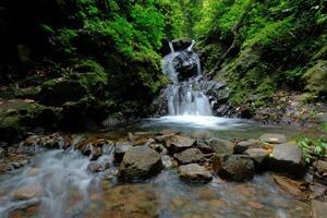Clear water flow in the forest. River water flow in natural forest photo
